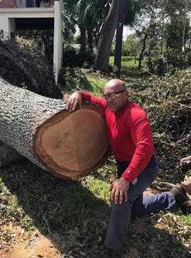 
 James by huge cut tree Kendall